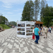 IMG-2791