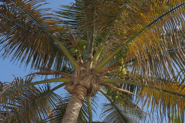 DSCF8243.jpg