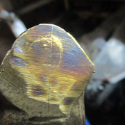 IMG-9599