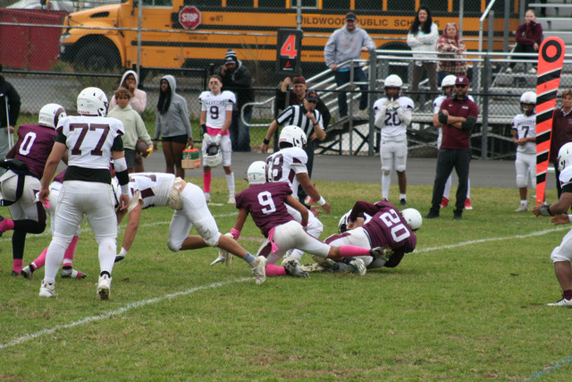 IMG-0330.jpg