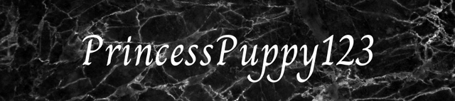 Princess-Puppy123-1