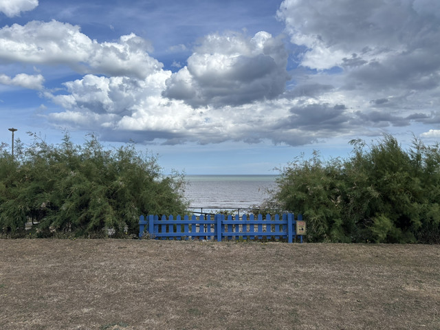 IMG-8633