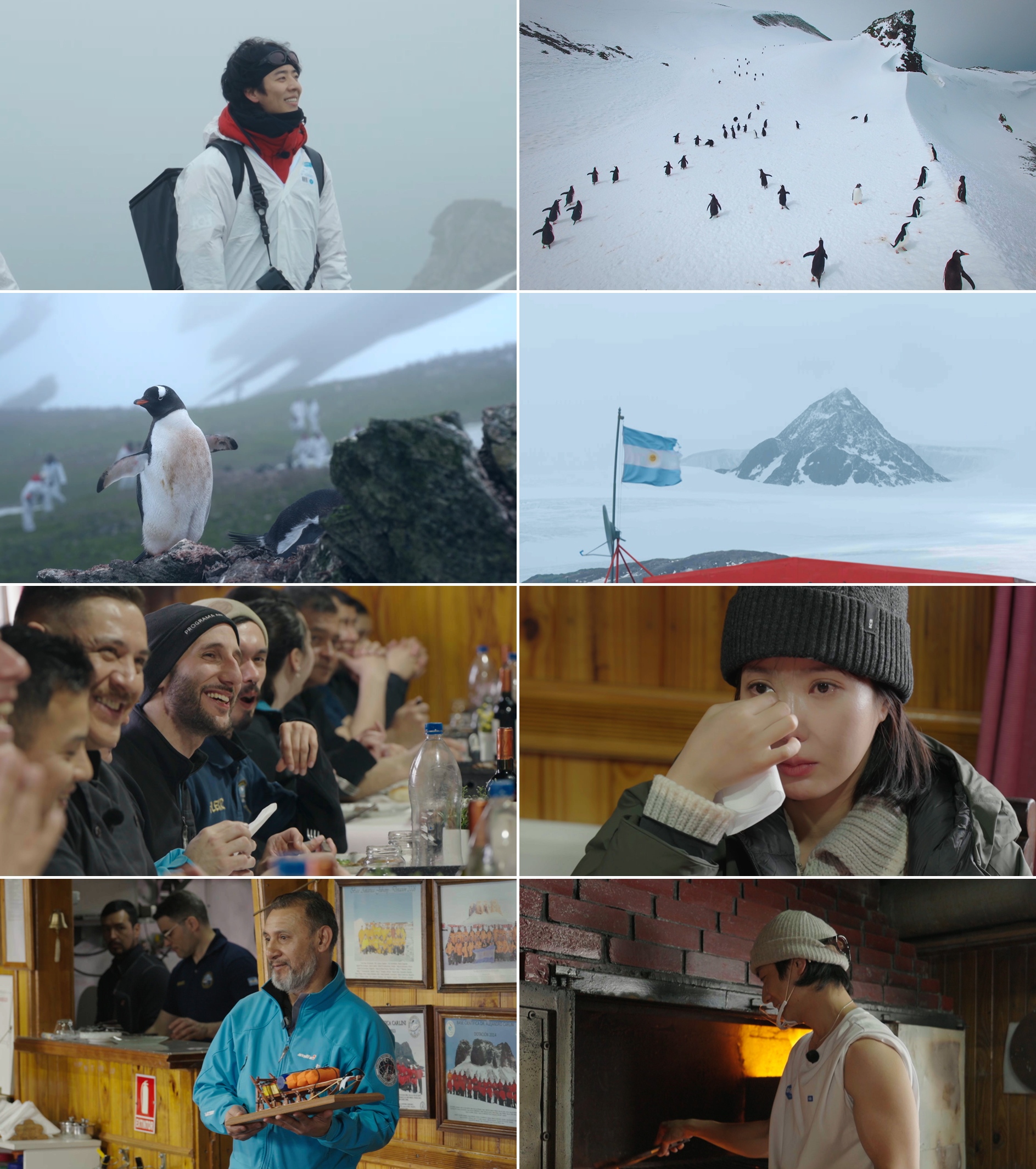 [기후환경 프로젝트-남극의 셰프] 멀리선 희극, 가까이선 비극? 남극특별보호구역 ‘펭귄마을’에 가다!