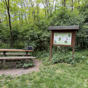 IMG 2351