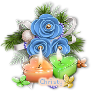 Christy5003A vi