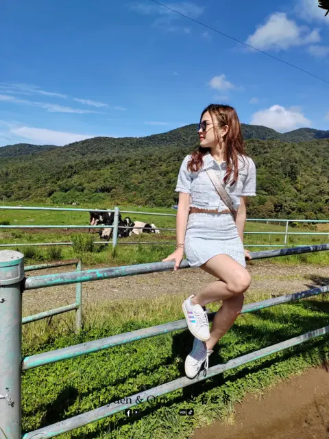 Desa Dairy Farm4.webp
