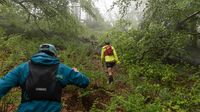 Eadrun469 65