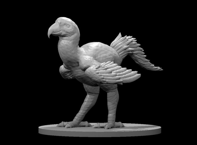 Tropical Axe Beak - https://mz4250.com/posts/new-requests-165398531