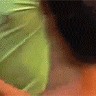 Animated GIF GIF