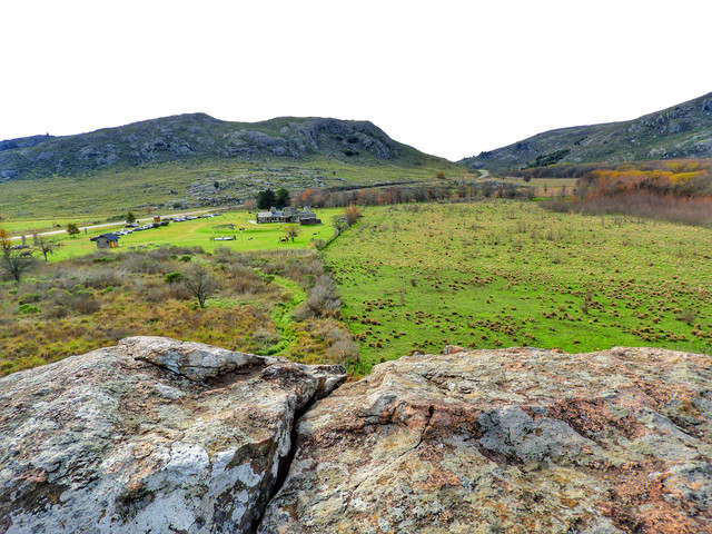 DSCN4966.jpg