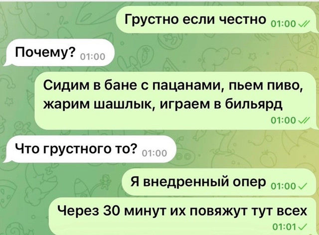https://i.ibb.co/Fb55cyZS/1760162083.jpg
