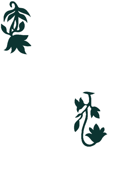 31.png