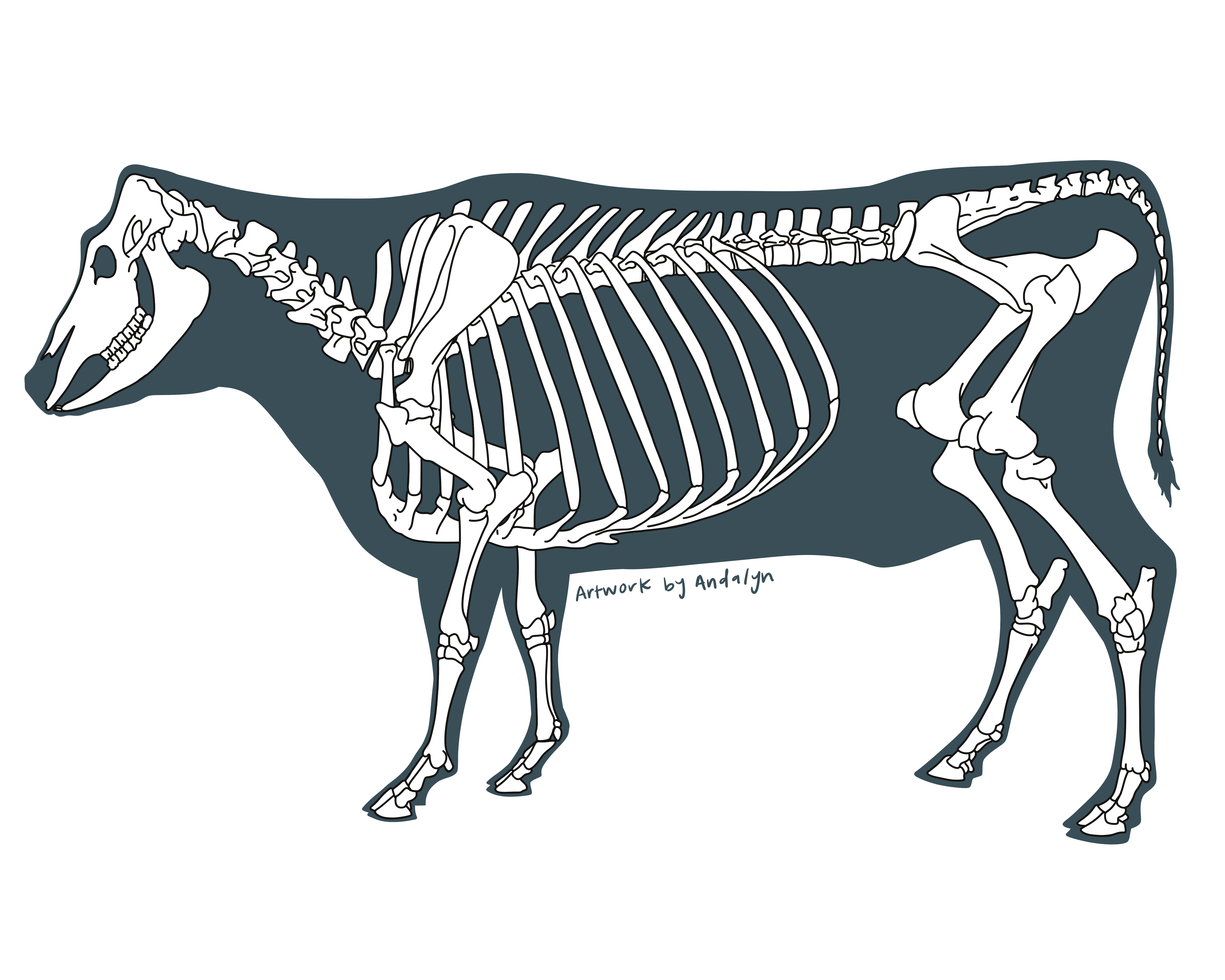 Hand-drawn illustration