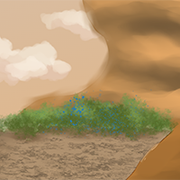 SOL-BANNER-1-200px