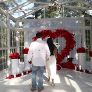 IMG-4225