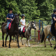 DSC05071
