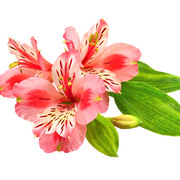 shutterstock 189201563
