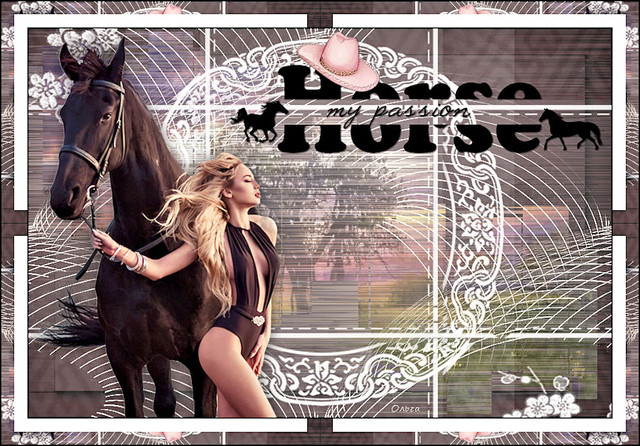 Коллаж "HORSE MY PASSION/Лошадь моя страсть"