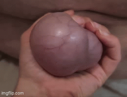 [Image: b2z2dg.gif]
