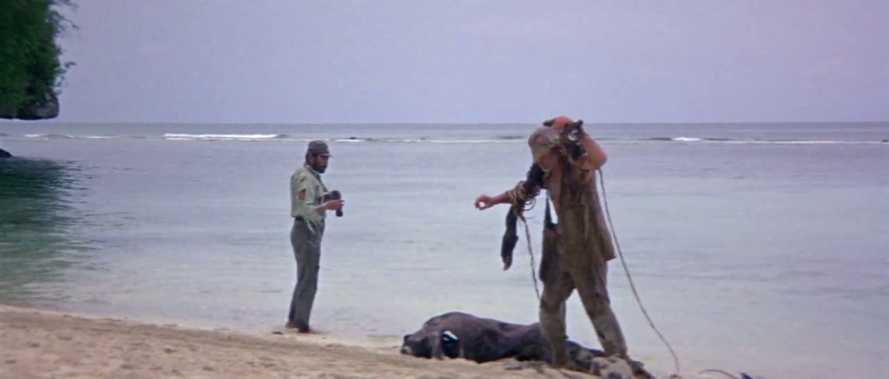 Hell in the Pacific Screenshot