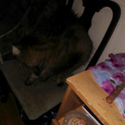IMG-20211024-130502