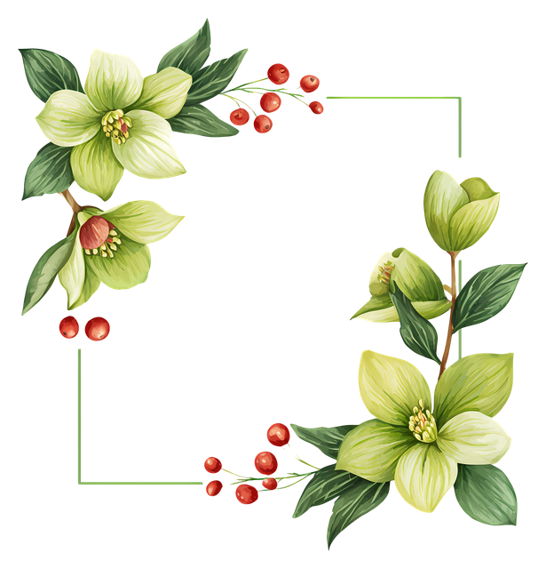 ca3665efdc10bf289b69fd61274e7c5e 1.png