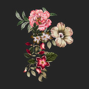 Shutterstock Flower Motif (50)