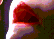 [Image: 38021071.gif]