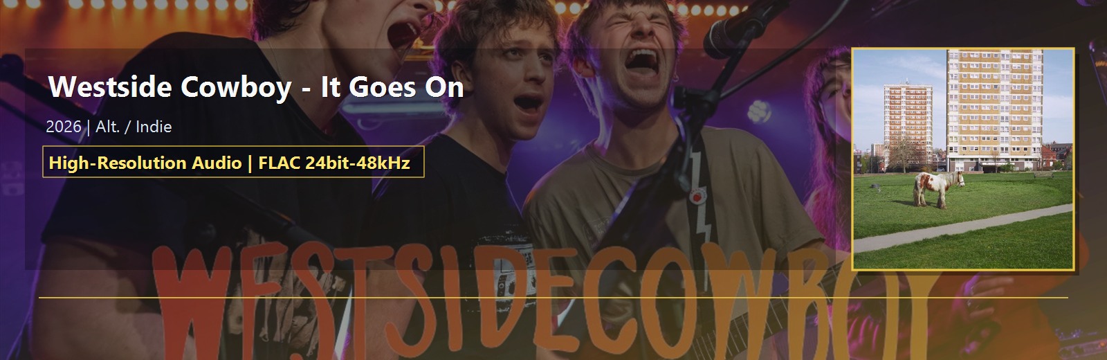 Movie cover image