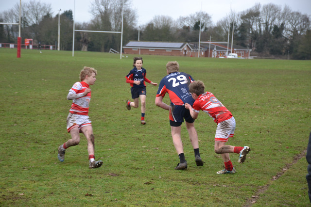 DSC 1495.jpg