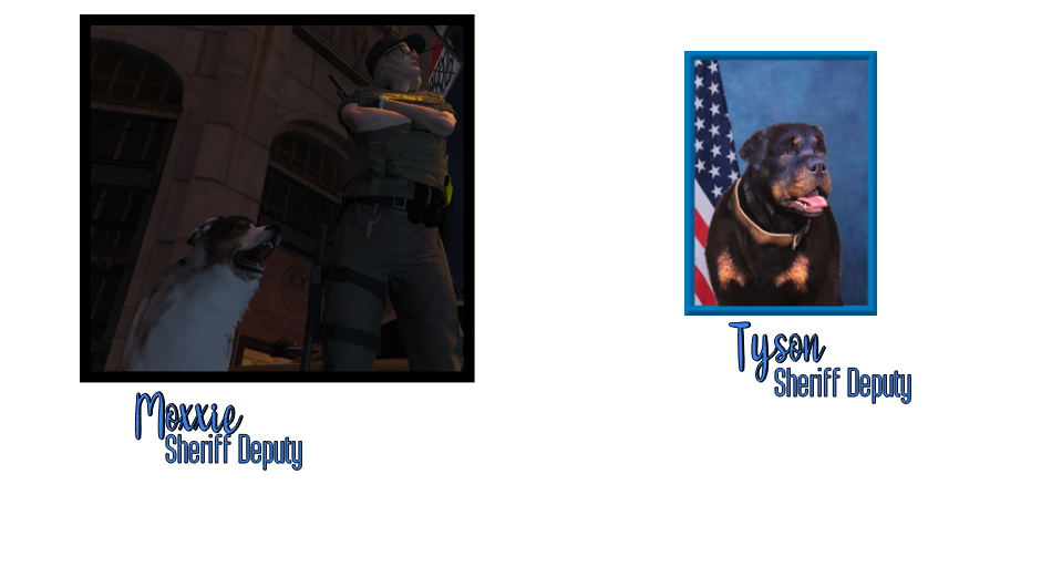 People-INtro-3.png