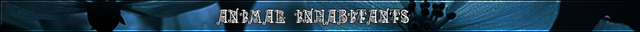 Flower annals headers middle animal