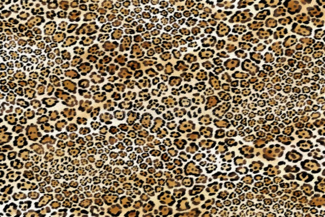 leopard-pattern-leopard-print-leopard-texture-4.jpg