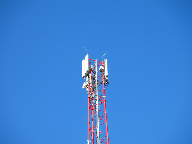 IMG-3589