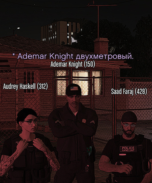 342.jpg