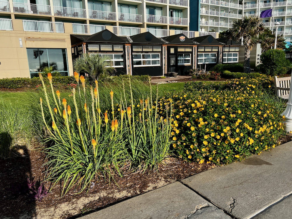 30+ лет в США. Заметки русско-американского пенсионера.