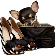 Woman-Accessories-2-90