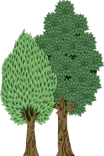 cec01356072cdd02e4890881a75d1704.png