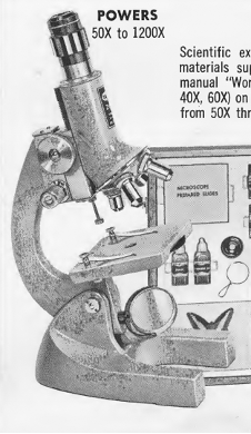 1968.png