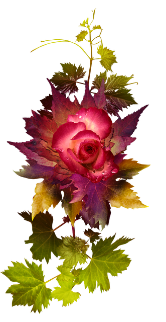 af284f4153c3a2a5e9ed952f6609cf6b.png