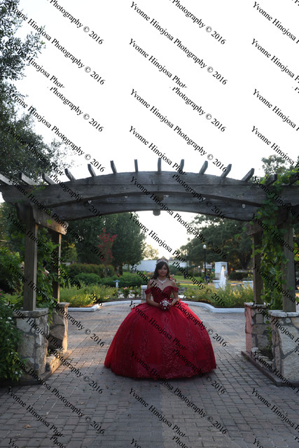 IMG 2653
