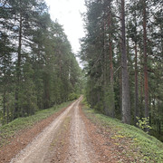 IMG 4568