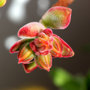 IMG-7002