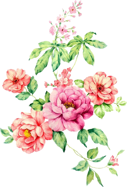 1c2c1d27fb34fd1a26ee77f7eb42af0b.png