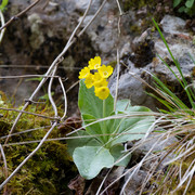 IMG-0205-2