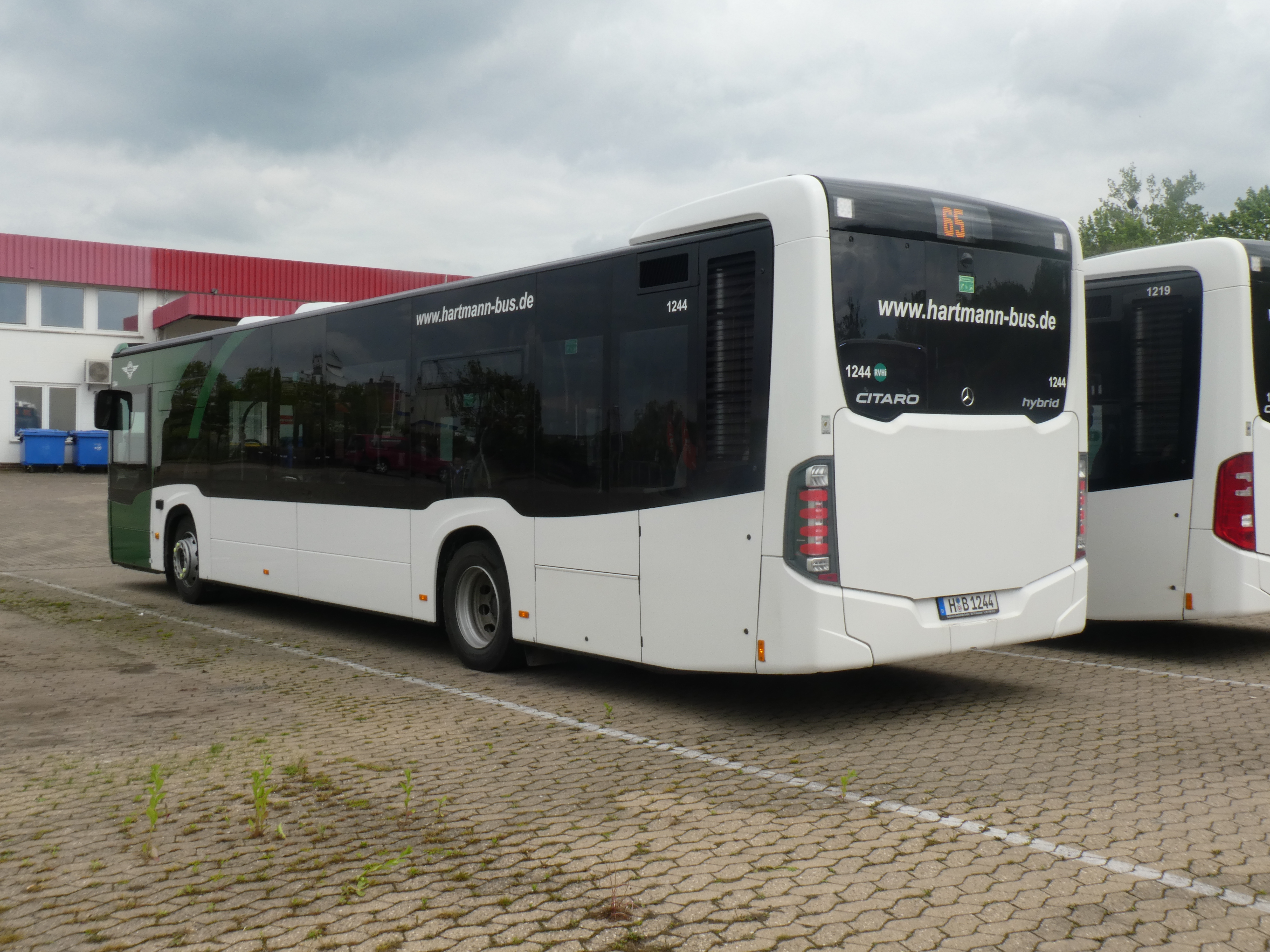 i.ibb.co/FbfKs3D5/Hartmann-1244-4.jpg