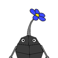 rockflower
