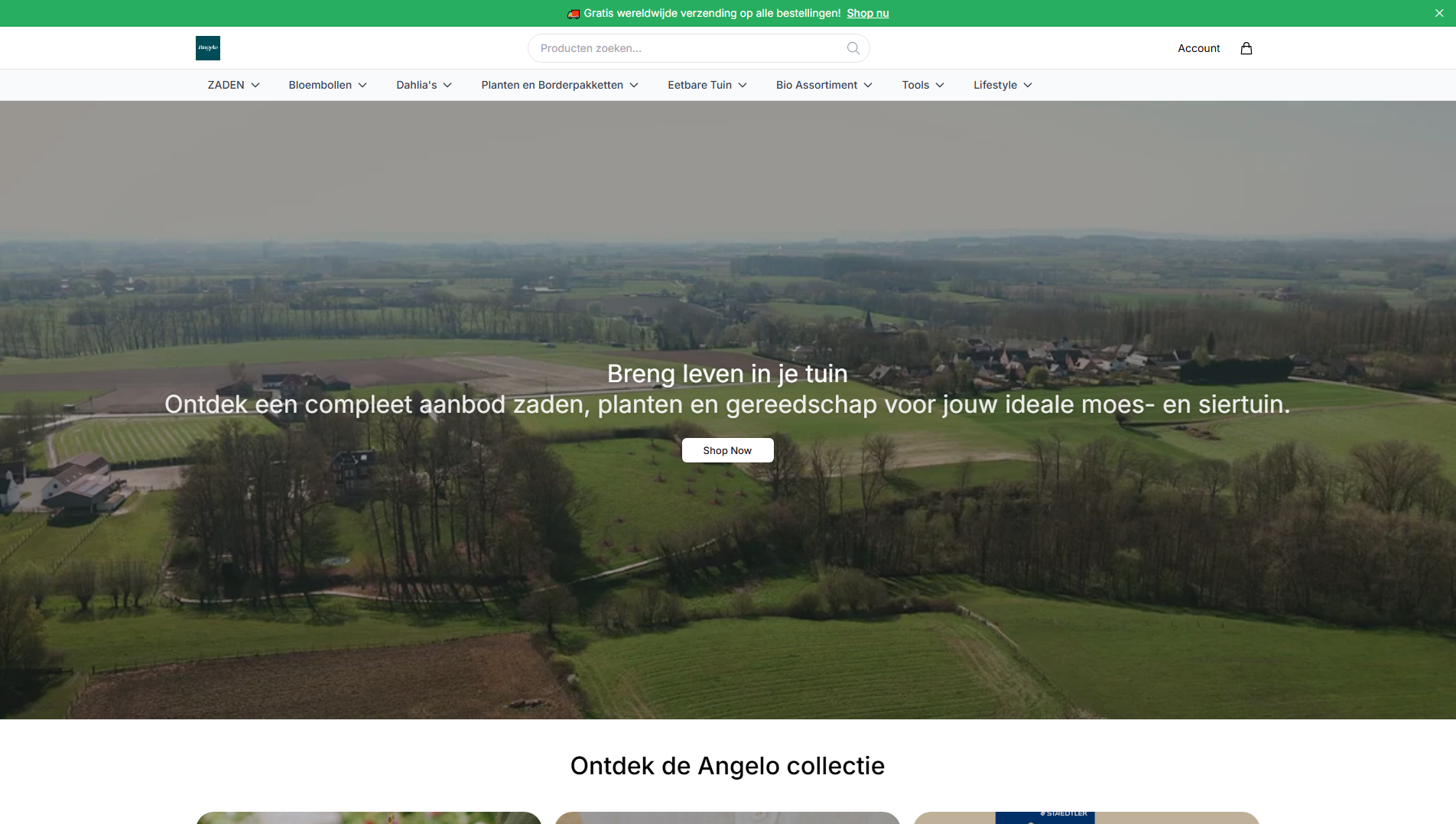 Stored capture of angeloexterior.shop