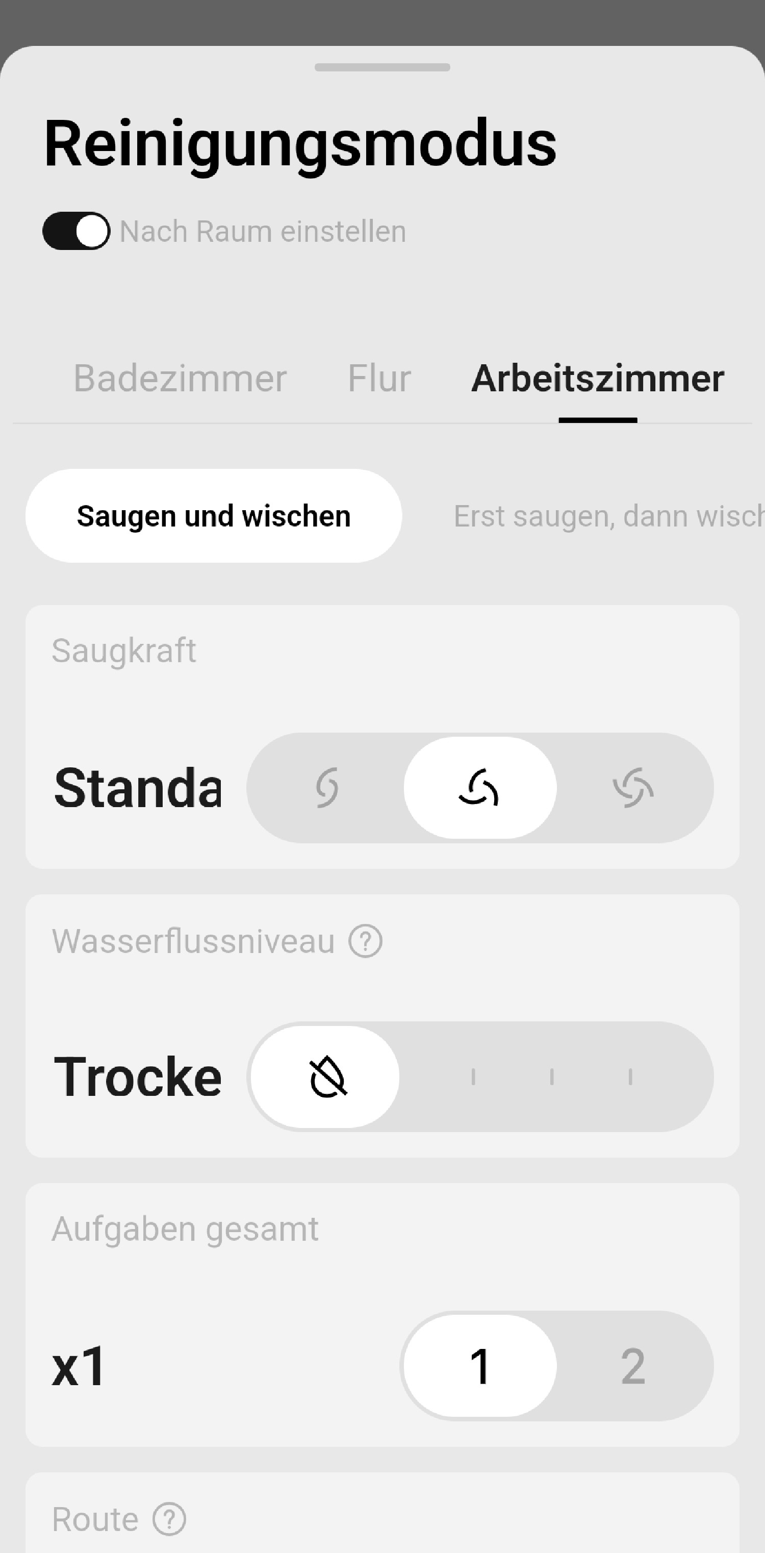 Auswahl des gewünschten Reinigungsablaufs.
