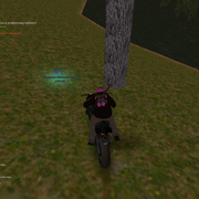 image 30